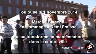 Barrage de Sivens Manifestation à Toulouse le 1 novembre en Hommage à Rémi Fraisse 