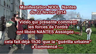 Manifestation NDDL Nantes du 22 fév 2014: derniers assauts des forces de l'ordre ... images comiques mais tristes ...