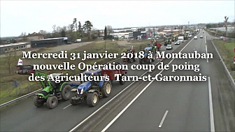 Les Agriculteurs d'Occitanie ont paralysé la Rocade de Montauban à 11h30 ce mercredi 31 janvier 2018 @Occitanie @tarnetgaronne_CG @FDSEA 